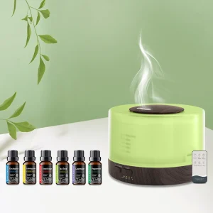 Home Spa Essential 16.9oz Oil Diffuser